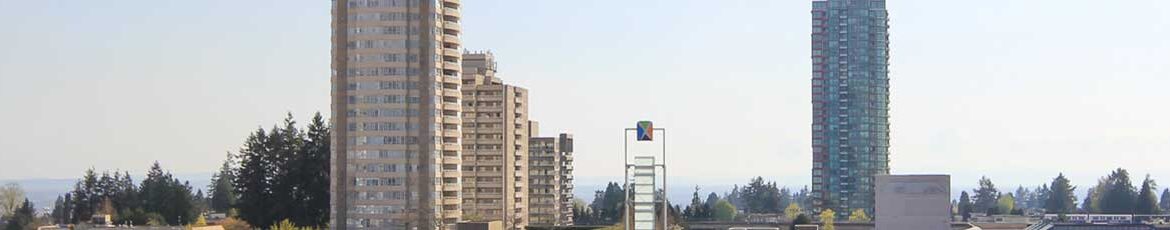 banner-1109-4808Hazel