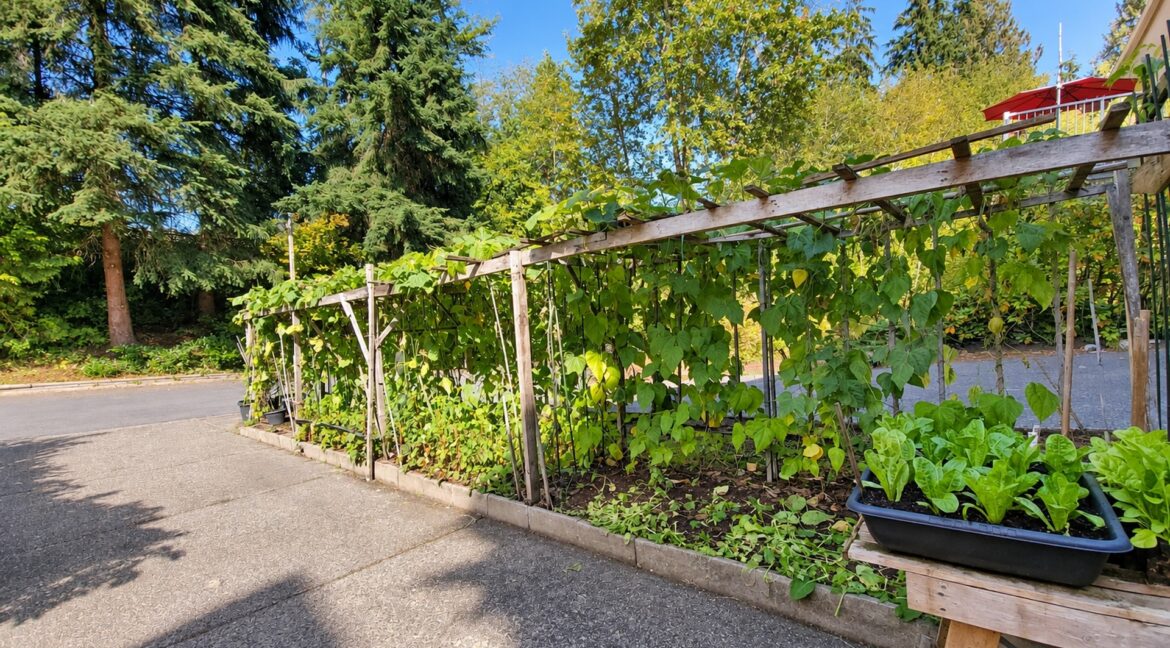 22789 116 AVE MAPLE RIDGE-1920-92