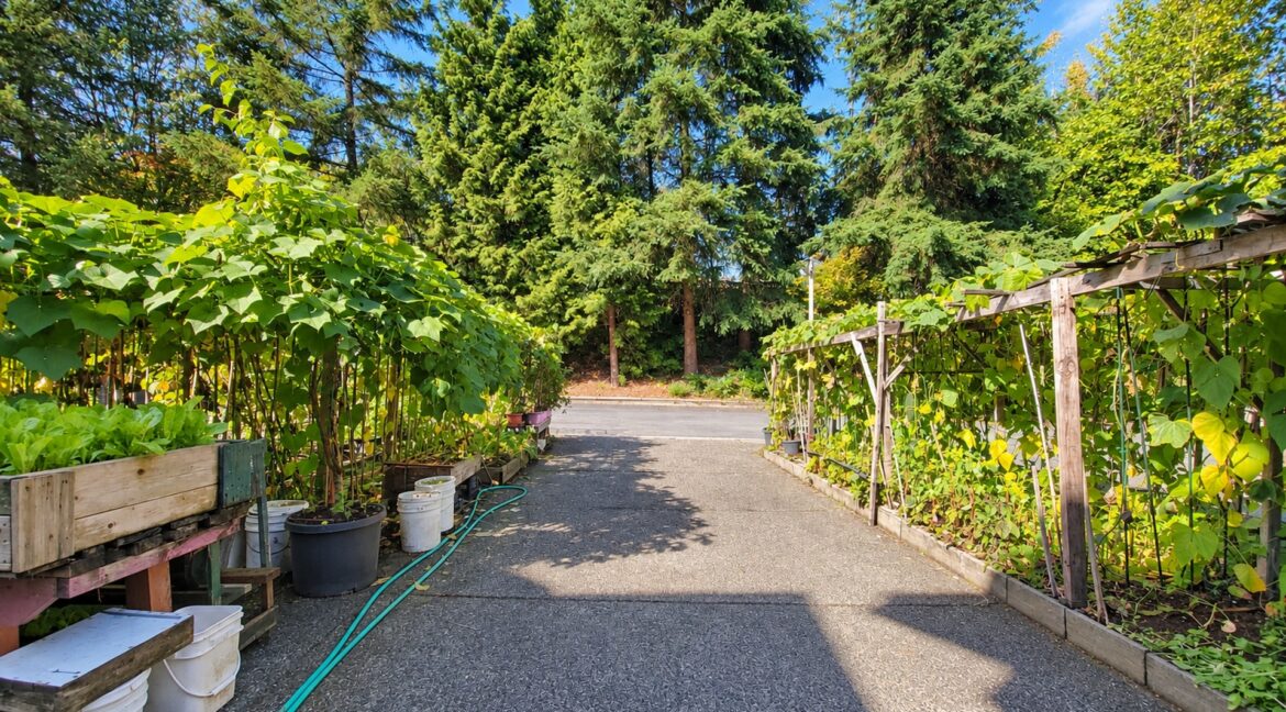 22789 116 AVE MAPLE RIDGE-1920-93