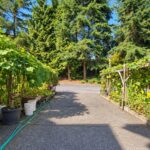 22789 116 AVE MAPLE RIDGE-1920-93